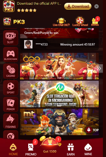 PK3 Game screenshot 3